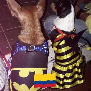 Meet your Posher, Luz dary